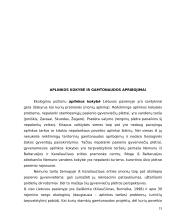 Pasienio regionų ekonominės problemos 15 puslapis