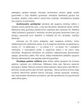 Pasienio regionų ekonominės problemos 16 puslapis