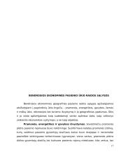 Pasienio regionų ekonominės problemos 17 puslapis