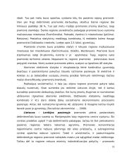 Pasienio regionų ekonominės problemos 19 puslapis