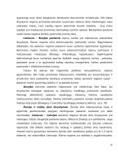 Pasienio regionų ekonominės problemos 20 puslapis