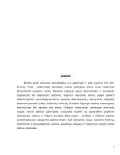 Pasienio regionų ekonominės problemos 3 puslapis