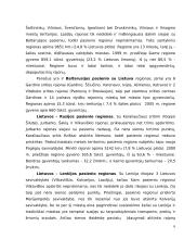 Pasienio regionų ekonominės problemos 6 puslapis