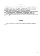 Pelningumo ekonominis pagrindimas UAB  "Laiko stilius" 19 puslapis
