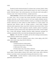 Strateginis planavimas: UAB "Elsis PRO" 2 puslapis