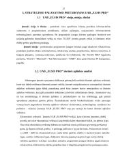 Strateginis planavimas: UAB "Elsis PRO" 12 puslapis