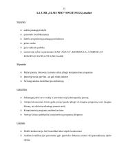 Strateginis planavimas: UAB "Elsis PRO" 15 puslapis