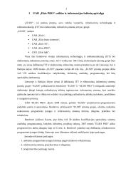 Strateginis planavimas: UAB "Elsis PRO" 3 puslapis