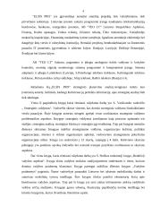 Strateginis planavimas: UAB "Elsis PRO" 4 puslapis