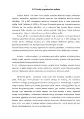 Strateginis planavimas: UAB "Elsis PRO" 6 puslapis