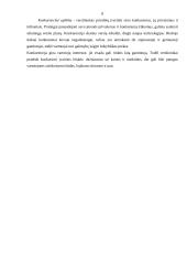 Strateginis planavimas: UAB "Elsis PRO" 8 puslapis