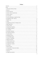 Verslo planas: apželdinimas IĮ "Vitželta"