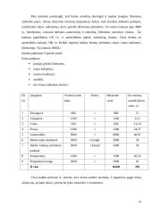 Verslo planas: apželdinimas IĮ "Vitželta" 14 puslapis