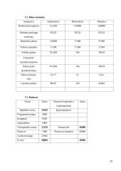 Verslo planas: apželdinimas IĮ "Vitželta" 19 puslapis