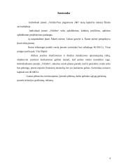 Verslo planas: apželdinimas IĮ "Vitželta" 3 puslapis