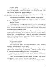 Verslo planas: apželdinimas IĮ "Vitželta" 10 puslapis