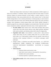 Darbo sutarties sudarymo tvarka, prielaidos ir turinys 2 puslapis