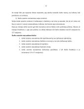 Darbo sutarties sudarymo tvarka, prielaidos ir turinys 12 puslapis