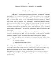 Darbo sutarties sudarymo tvarka, prielaidos ir turinys 3 puslapis