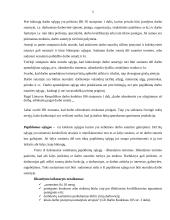 Darbo sutarties sudarymo tvarka, prielaidos ir turinys 5 puslapis