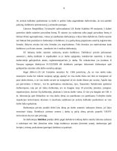 Darbo sutarties sudarymo tvarka, prielaidos ir turinys 8 puslapis