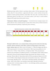 Demografinių procesų veiksniai ir jų valdymo galimybės valstybės lygmenyje 12 puslapis