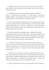 Kokybės matavimas ir kontrolė 17 puslapis