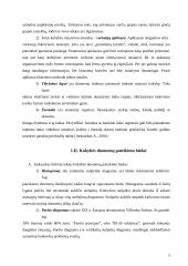 Kokybės matavimas ir kontrolė 8 puslapis