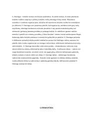 Kokybės vadybos raida W.E. Demingo darbuose 14 puslapis