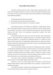 Komandinio darbo organizavimas 10 puslapis