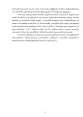 Komandinio darbo organizavimas 2 puslapis