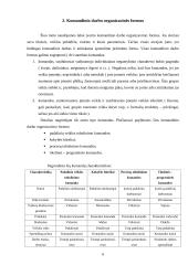 Komandinio darbo organizavimas 5 puslapis