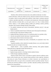 Komandinio darbo organizavimas 6 puslapis
