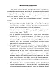 Komandinio darbo organizavimas 8 puslapis
