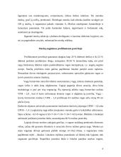 Morkų auginimo vagotame paviršiuje technologija 3 puslapis