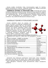 Vandenilis, fizikinės bei cheminės savybės, gavimas, naudojimas 2 puslapis