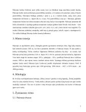 Pakruojo kraštas ir miestas 2 puslapis