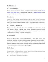 Pakruojo kraštas ir miestas 8 puslapis