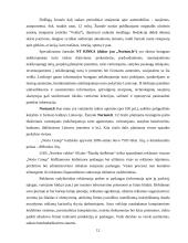 Paslaugų kokybės įvertinimas: "Šiaulių skelbimai" 12 puslapis