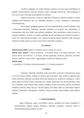 Pedagoginė praktika: Žiežmarių vidurinė mokykla 10 puslapis