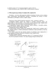 Preparatų paruošimas ir mikrobų mikrobiologiniai tyrimai 8 puslapis
