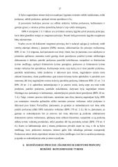 Baudžiamojo proceso principų realizavimo ikiteisminio tyrimo stadijoje ypatumai 17 puslapis
