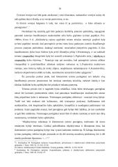 Baudžiamojo proceso principų realizavimo ikiteisminio tyrimo stadijoje ypatumai 19 puslapis