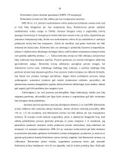 Baudžiamojo proceso principų realizavimo ikiteisminio tyrimo stadijoje ypatumai 20 puslapis