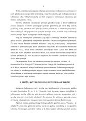 Baudžiamojo proceso principų realizavimo ikiteisminio tyrimo stadijoje ypatumai 6 puslapis