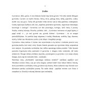 Savižudybė: sąmoningas siekimas nesiekti? 2 puslapis