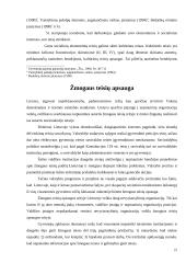 Žmogaus teisių katalogas Lietuvos Respublikos (LR) Konstitucijoje 19 puslapis