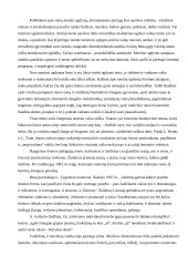 Muzikinis ugdymas ir teatrinė veikla ikimokyklinėje įstaigoje ir pradžios mokykloje 3 puslapis