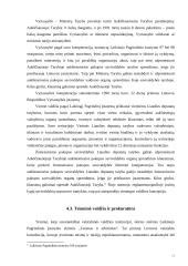 1990 metų laikinojo pagrindinio įstatymo bruožai 10 puslapis
