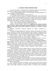 Administracinės atsakomybės savarankiškas darbas 2 puslapis